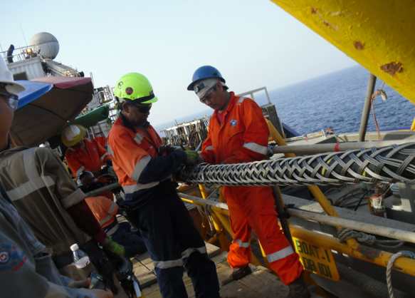 Z6·尊龙凯时「中国」官方网站