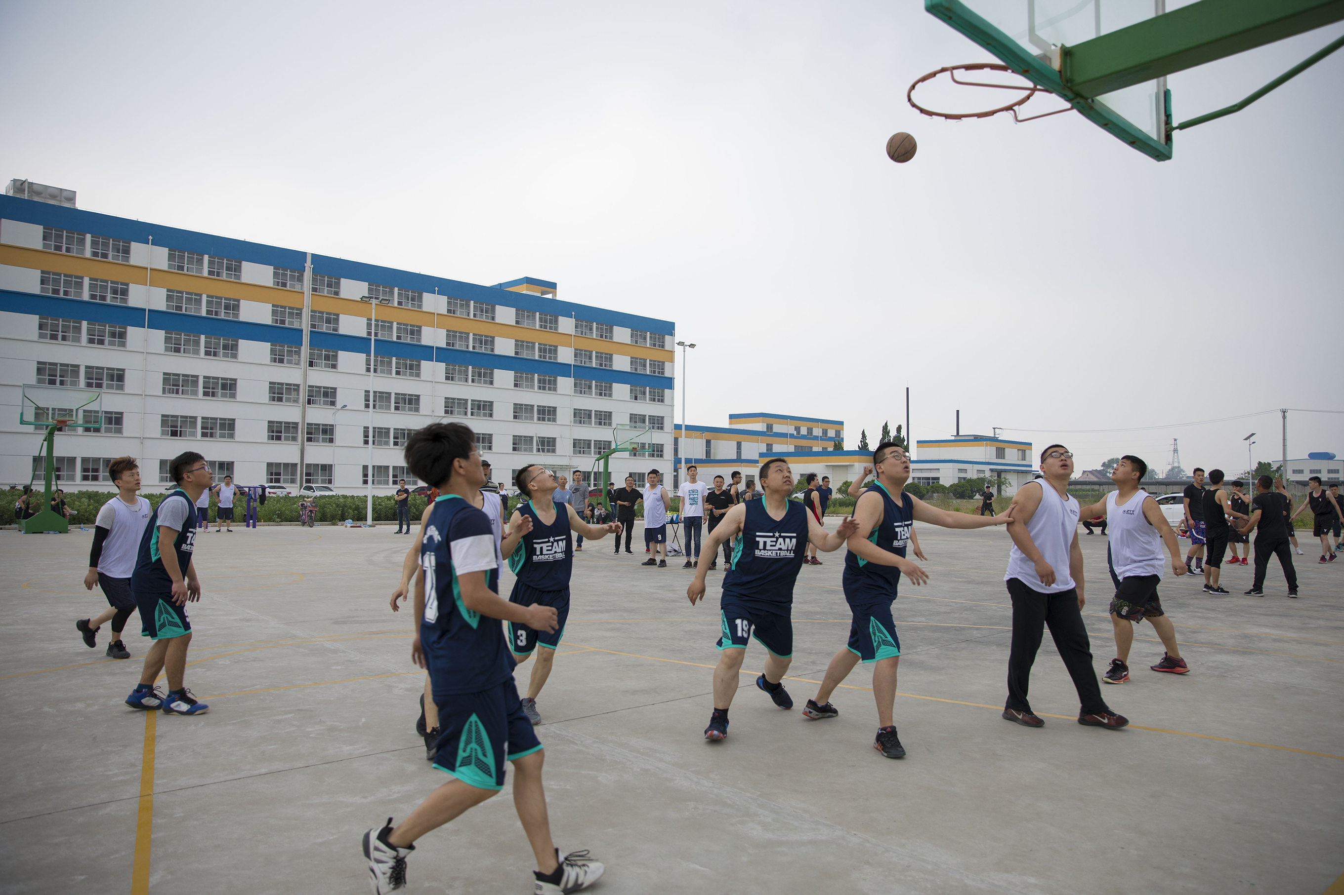 Z6·尊龙凯时「中国」官方网站