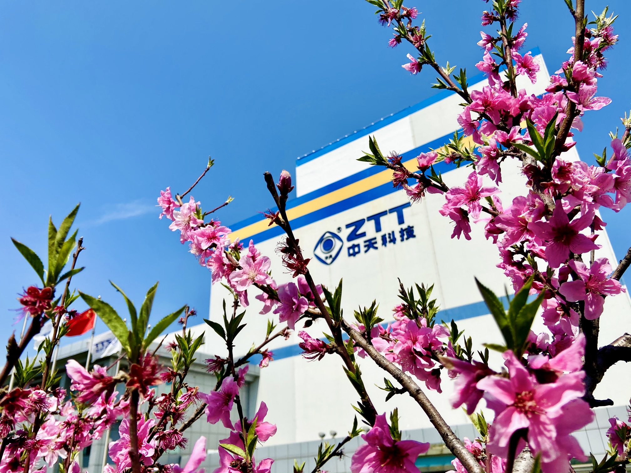 Z6·尊龙凯时「中国」官方网站